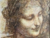 Kopia z Leonarda daVinci